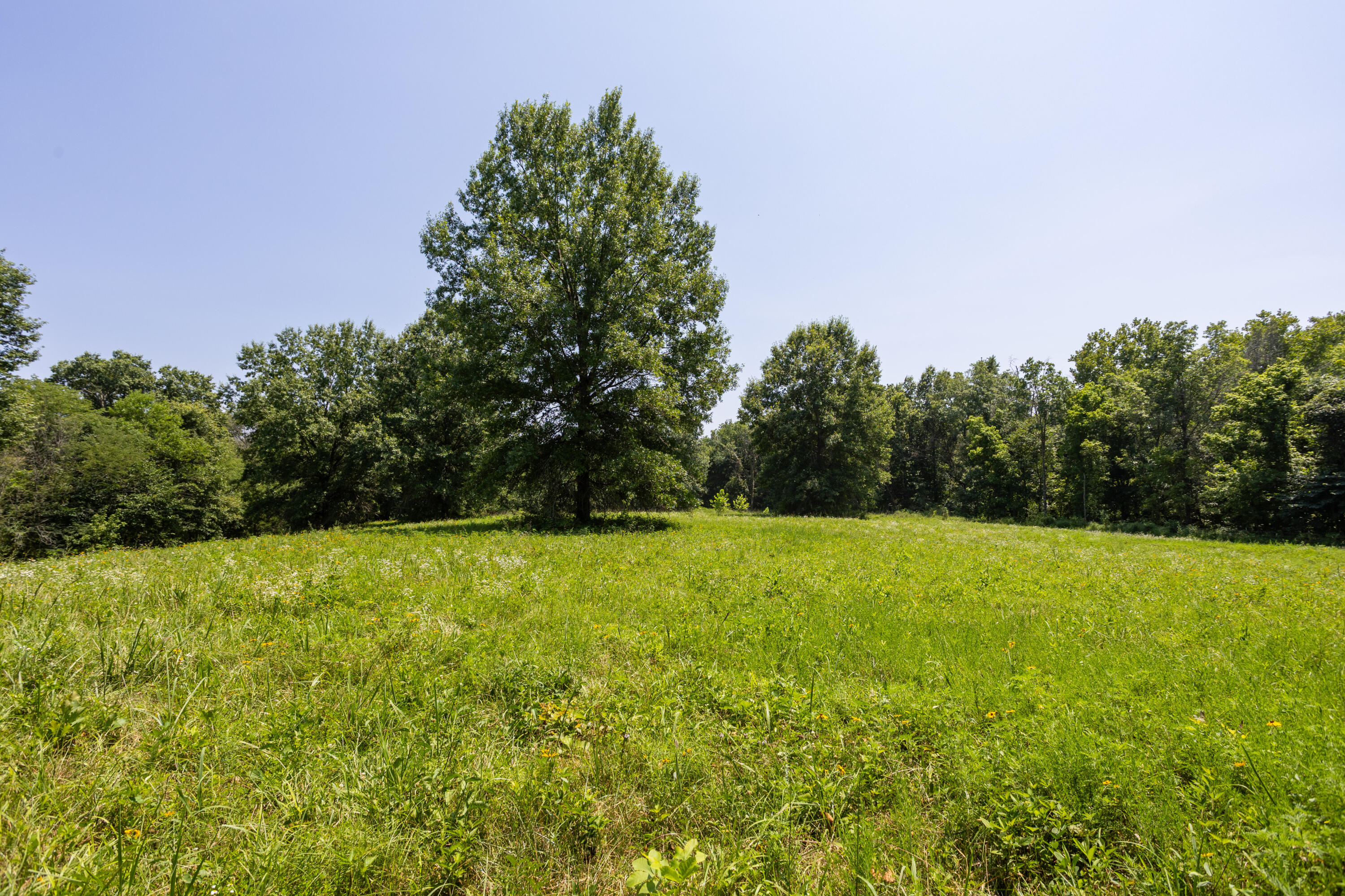 1059 Northeast 100th Road Lamar, MO 64759 - Photo 117 of 119 Barton290(MLSRES)-8