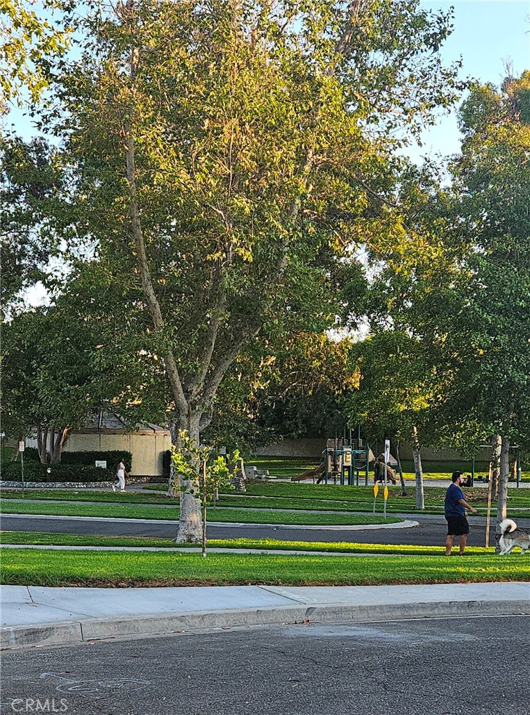 8 Robin Irvine, CA 92604 - Photo 9 of 20 a green field with lots of trees
