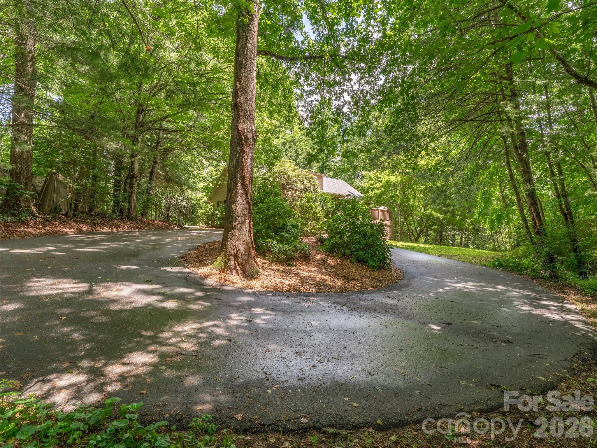 25 Blueberry Lane Fairview, NC 28730 - Photo 6 of 48