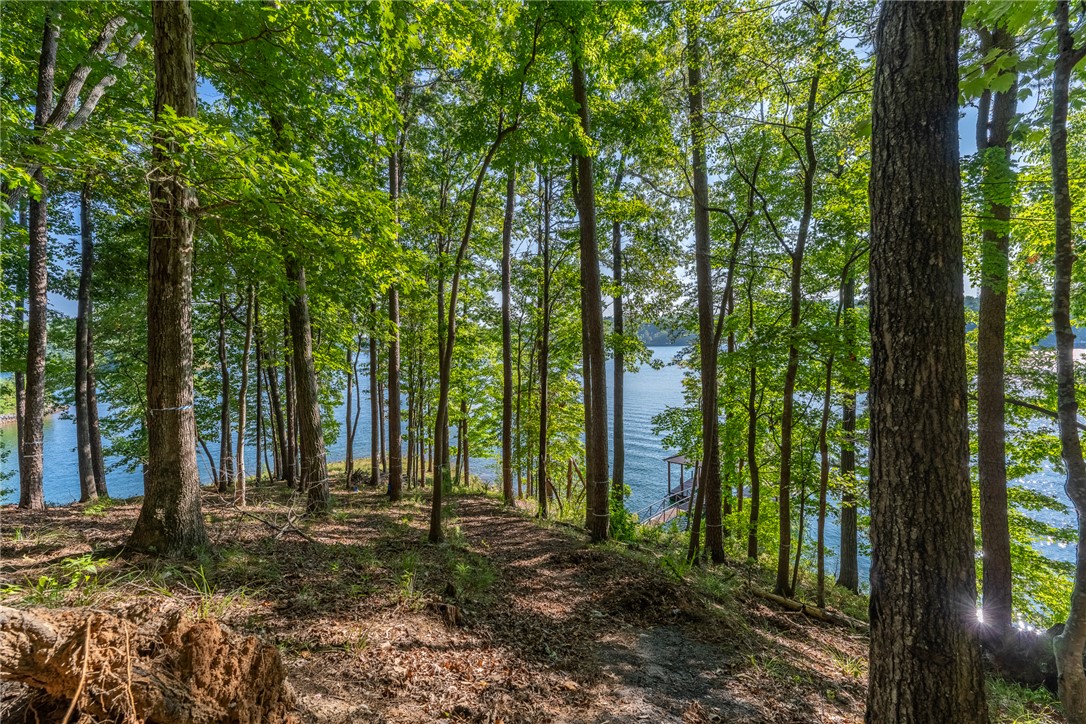 107 South Turtle Rock Road Sunset, SC 29685 - Photo 3 of 24