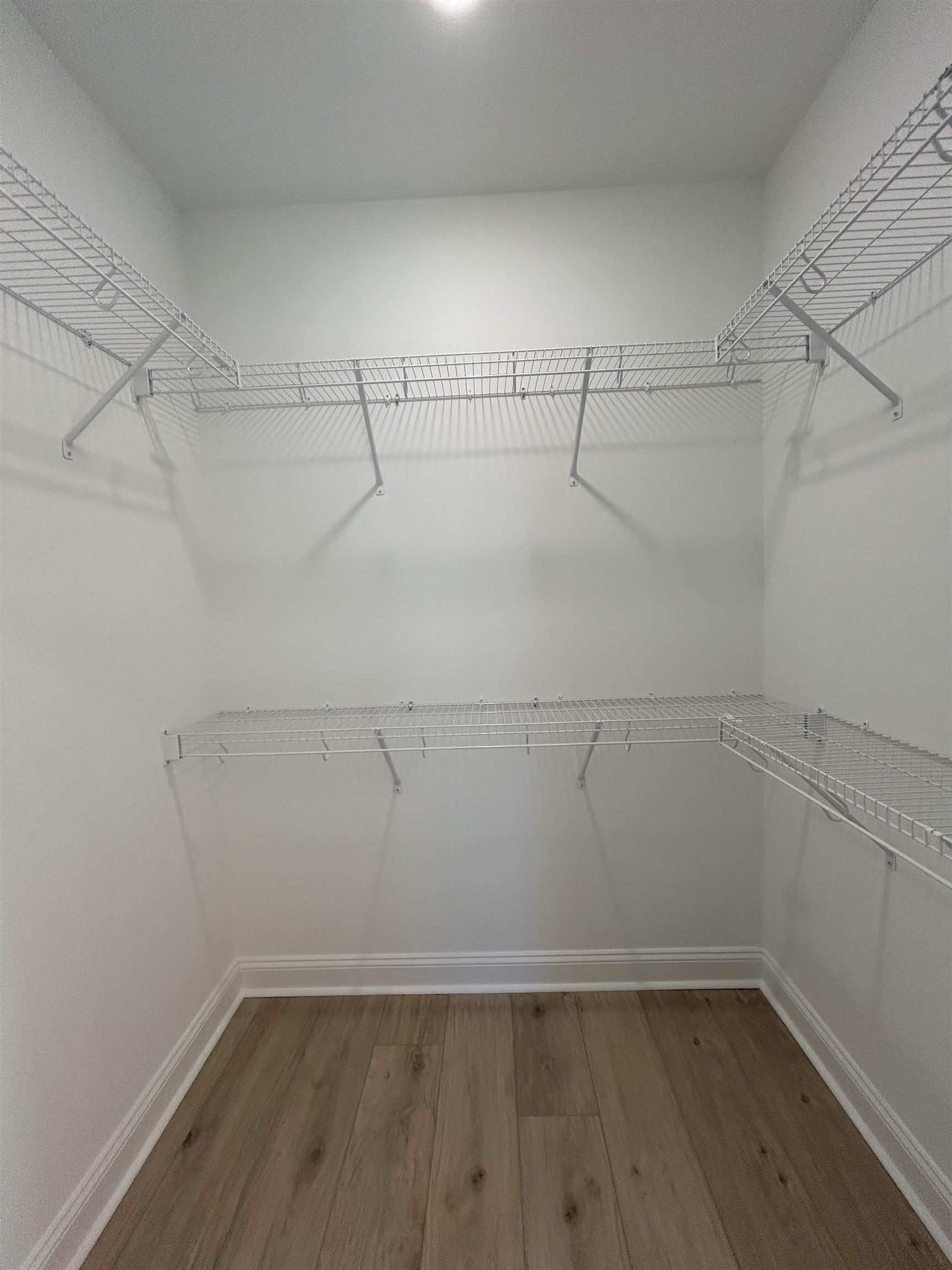 616 Carter Reid Court Longs, SC 29568 - Photo 20 of 21