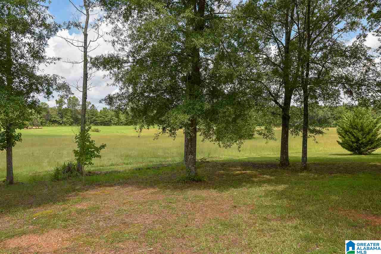 1275 Fulton Gap Road Sylacauga, AL 35150 - Photo 9 of 50 Gallery Image 9