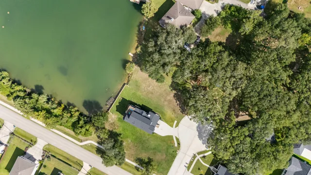 a view of a plant in a garden