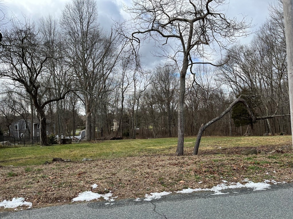 258 Chestnut Street Rehoboth, MA 02769 - Photo 32 of 34 a view of a tree in a park