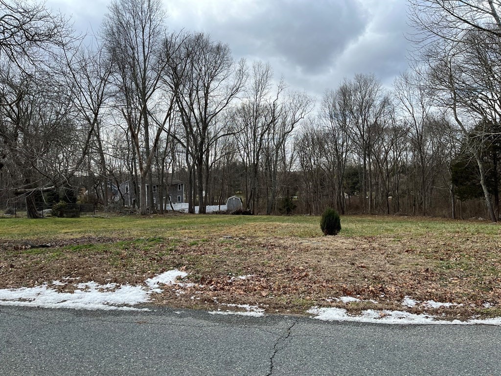 258 Chestnut Street Rehoboth, MA 02769 - Photo 33 of 34 a backyard of a house with lots of green space