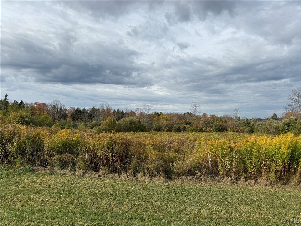 11033 Francis Road Remsen, NY 13438 - Photo 11 of 32