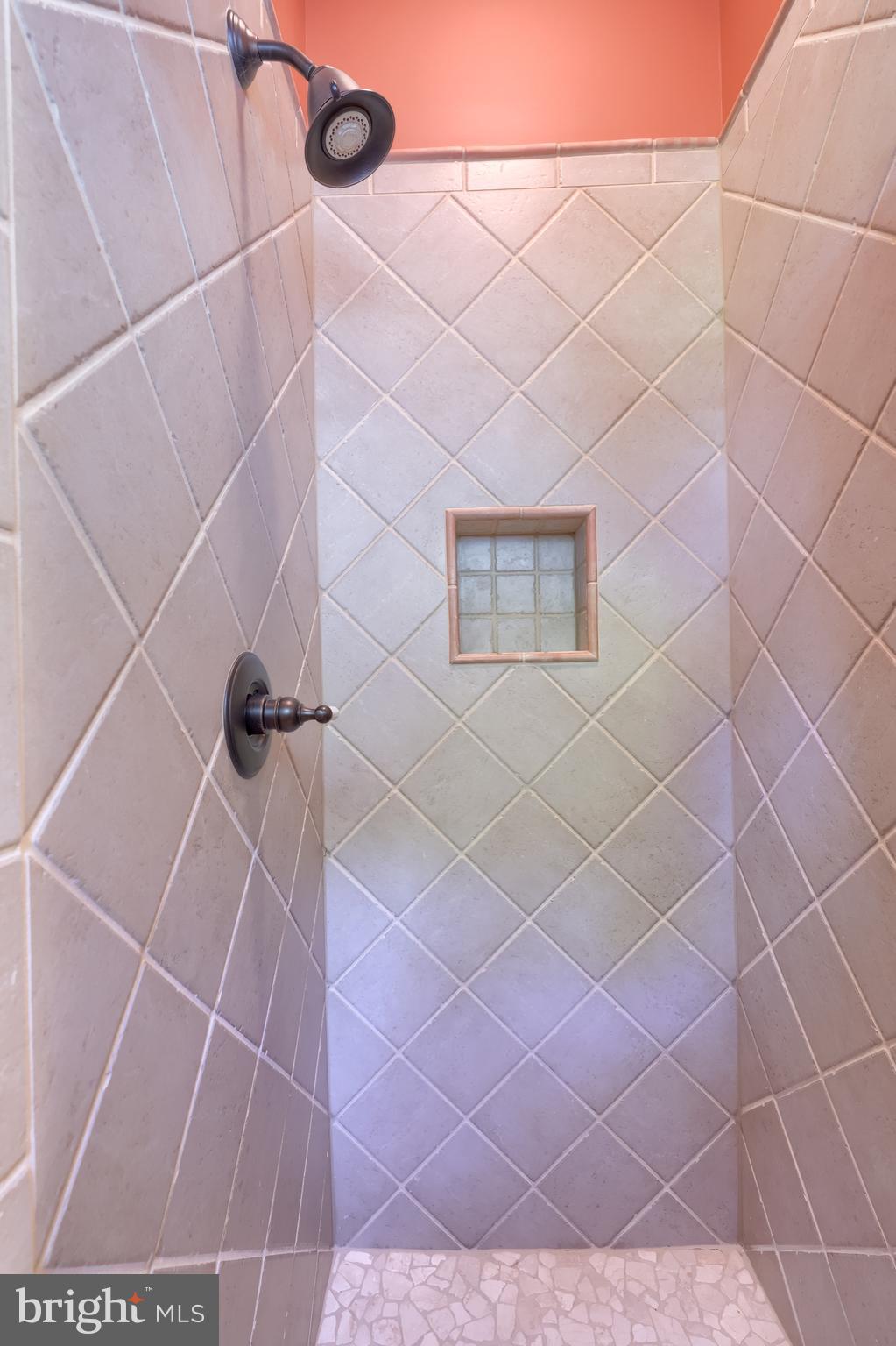 905 Greenside Drive Lititz, PA 17543 - Photo 102 of 127 a bathroom with a shower