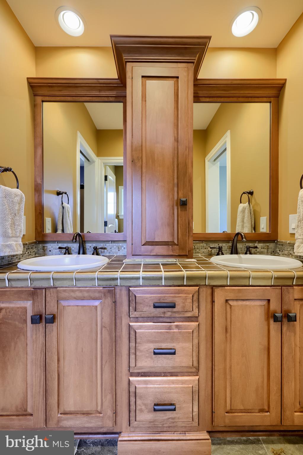 905 Greenside Drive Lititz, PA 17543 - Photo 70 of 127 a bathroom with a double vanity sink and a mirror
