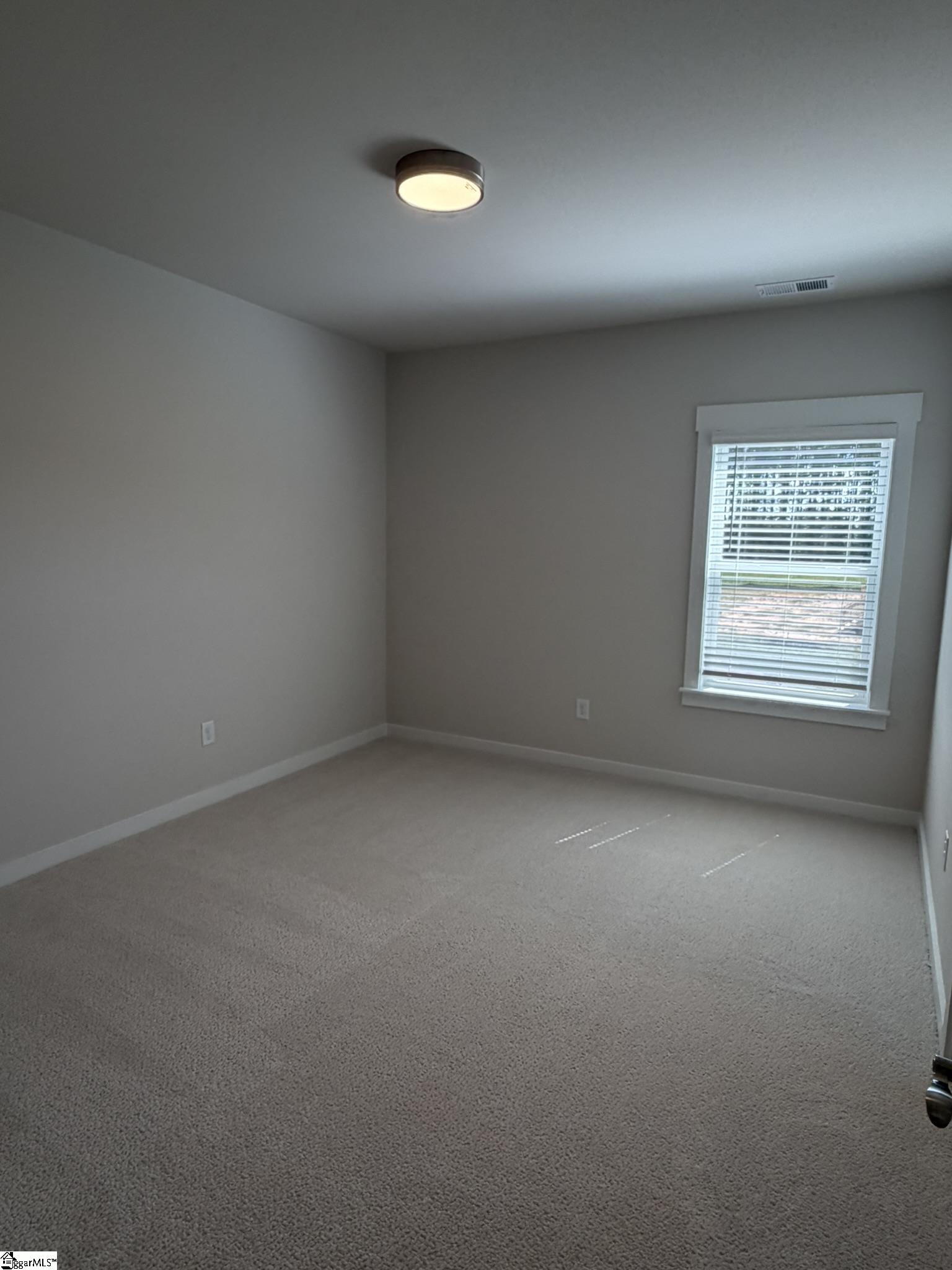 310 Richey Road, Unit SITE 3 Pelzer, SC 29669 - Photo 41 of 48 Gallery Image 41