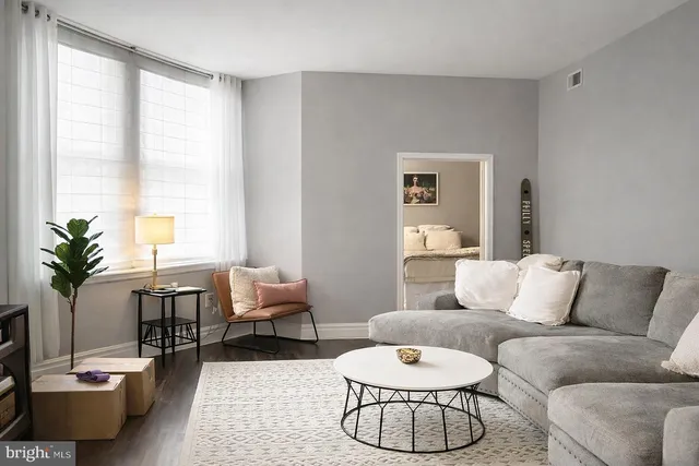 a living room with furniture potted plant and a large window