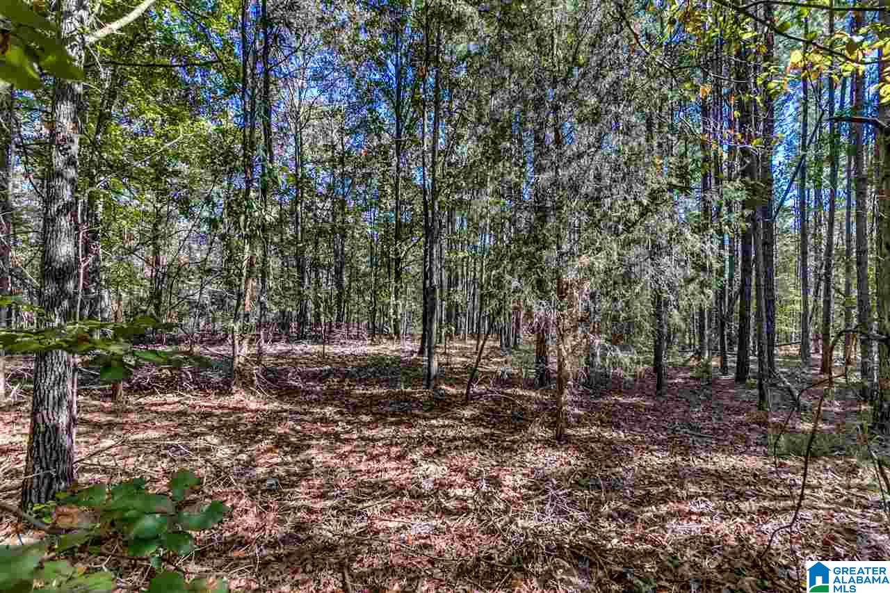384 Wolf Pond Road, Unit 1 Talladega, AL 35160 - Photo 11 of 26
