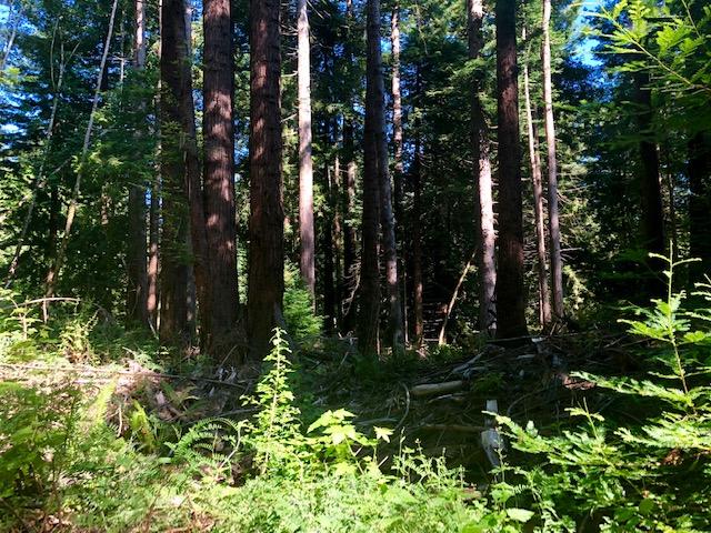 9.25-acre Eggert Road Eureka, CA 95503 - Photo 24 of 29
