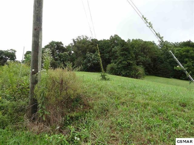 29 Sugar Tree Drive Sevierville, TN 37862 - Photo 4 of 12
