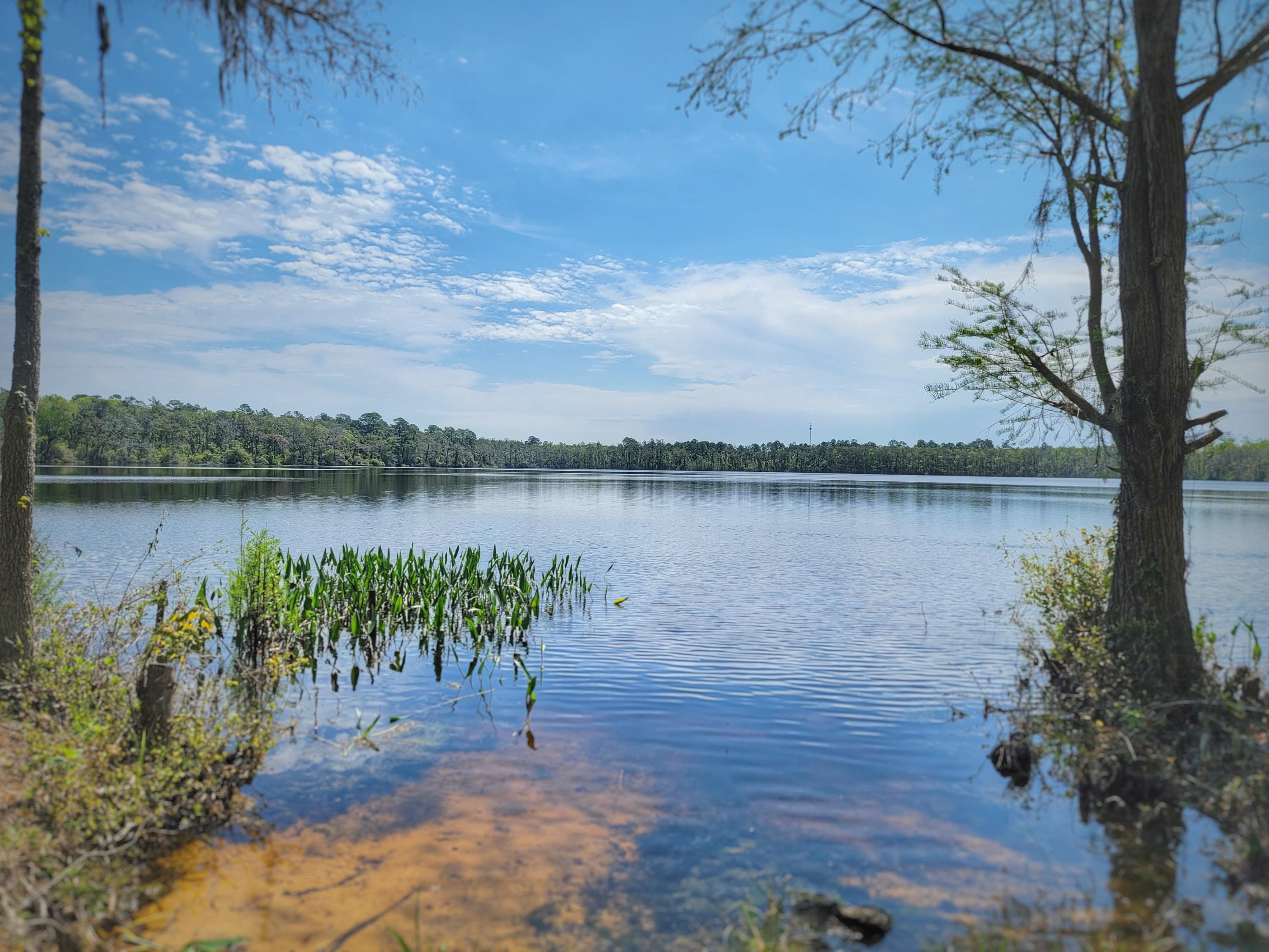 0 Owens Pond Road Chipley, FL 32428 - Photo 24 of 35