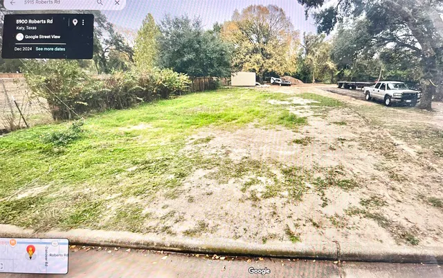 a view of yard with trees