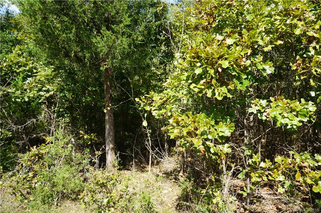 21-ac Wylies Mill Road, Unit 3 Edgemoor, SC 29712 - Photo 3 of 9 Gallery Image 3