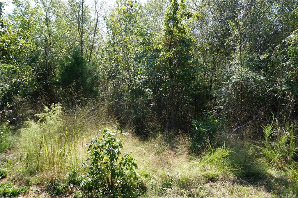 21-ac Wylies Mill Road, Unit 3 Edgemoor, SC 29712 - Photo 4 of 9 Gallery Image 4
