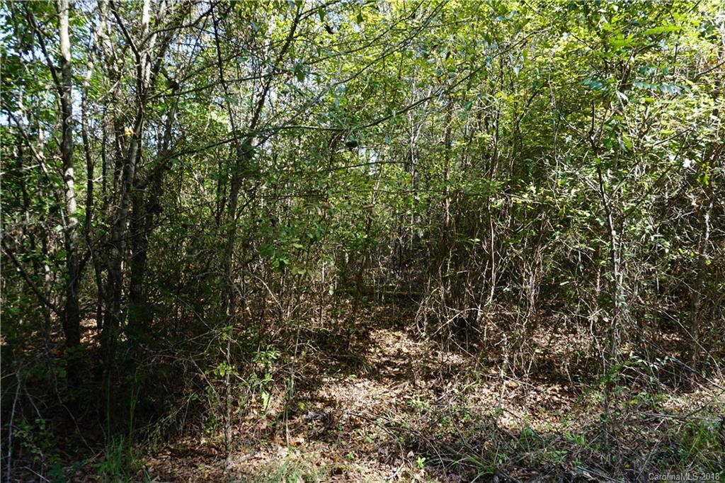 21-ac Wylies Mill Road, Unit 3 Edgemoor, SC 29712 - Photo 5 of 9 Gallery Image 5