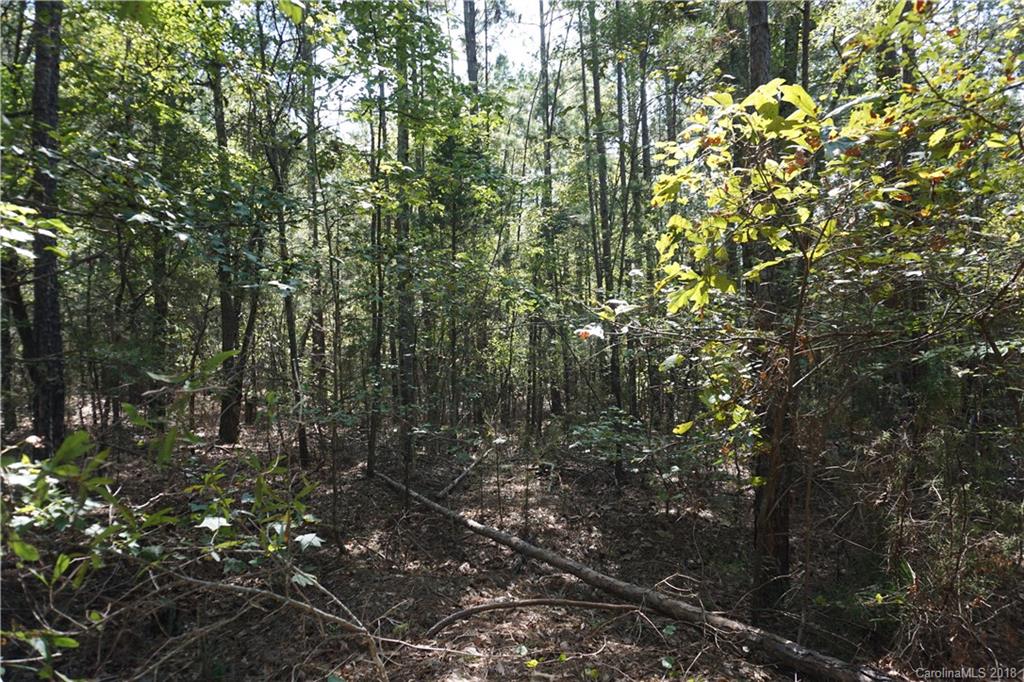 21-ac Wylies Mill Road, Unit 3 Edgemoor, SC 29712 - Photo 6 of 9 Gallery Image 6
