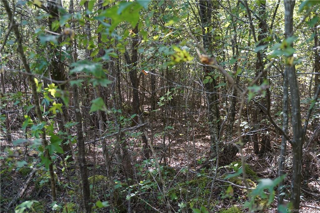 21-ac Wylies Mill Road, Unit 3 Edgemoor, SC 29712 - Photo 7 of 9 Gallery Image 7