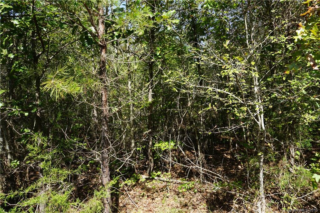 21-ac Wylies Mill Road, Unit 3 Edgemoor, SC 29712 - Photo 8 of 9 Gallery Image 8