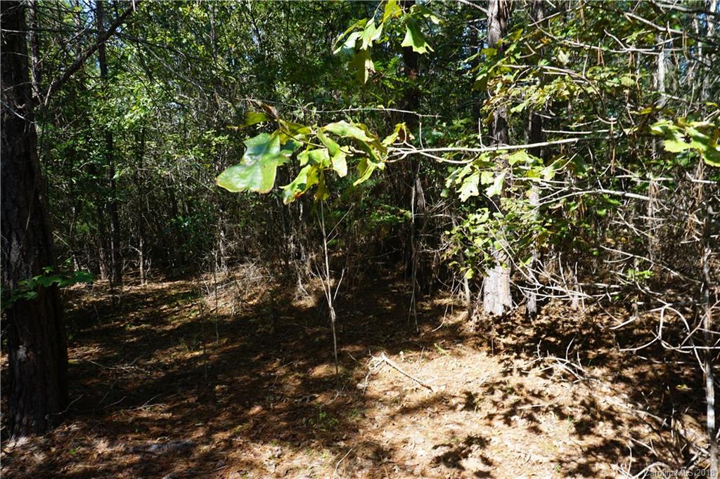 21-ac Wylies Mill Road, Unit 3 Edgemoor, SC 29712 - Photo 9 of 9 Gallery Image 9