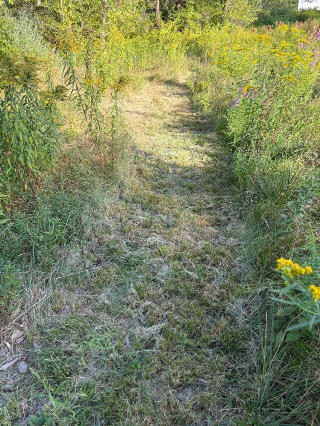 1612 U.S. Rte 1 Freeport, ME 04032 - Photo 13 of 17 Paths