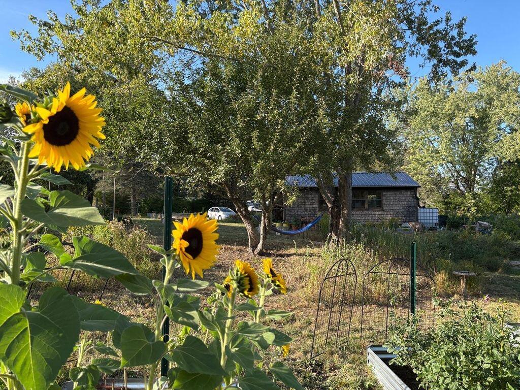 1612 U.S. Rte 1 Freeport, ME 04032 - Photo 3 of 17 Sunflower Welcome