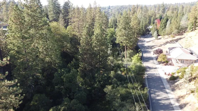 a view of a large yard with lots of green space