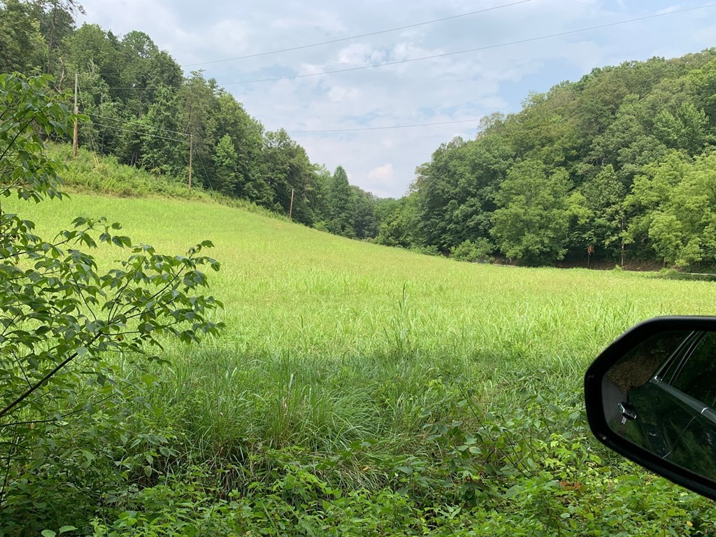 0 Long Branch Road Seymour, TN 37865 - Photo 3 of 5