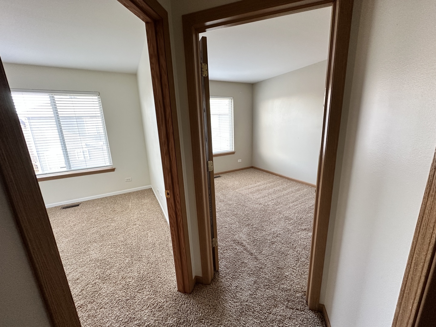 896 Emerald Drive Pingree Grove, IL 60140 - Photo 12 of 19