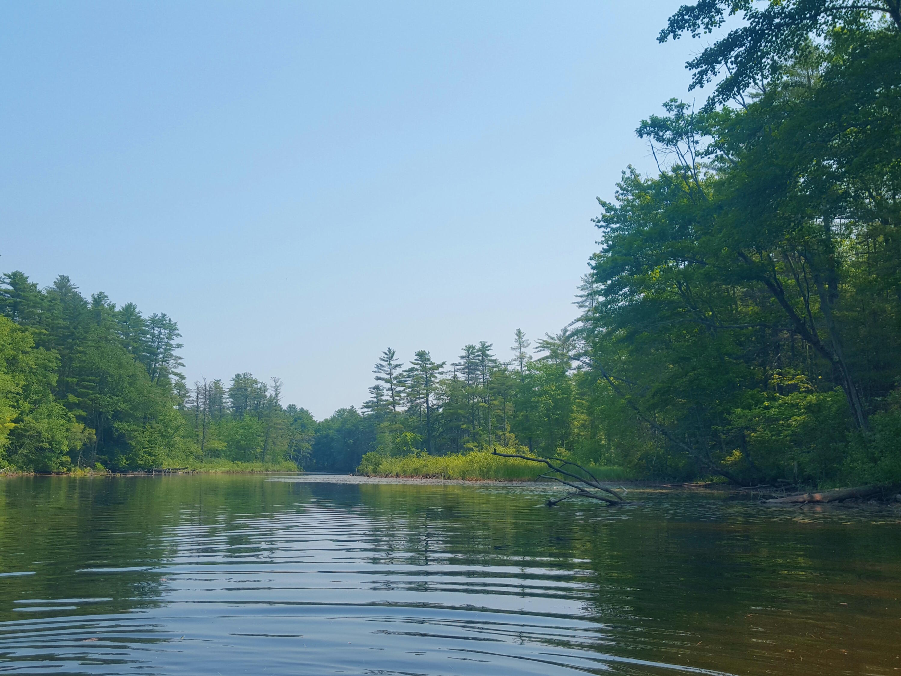 594 River Road Windham, ME 04062 - Photo 13 of 43 our Kayak is waiting to go