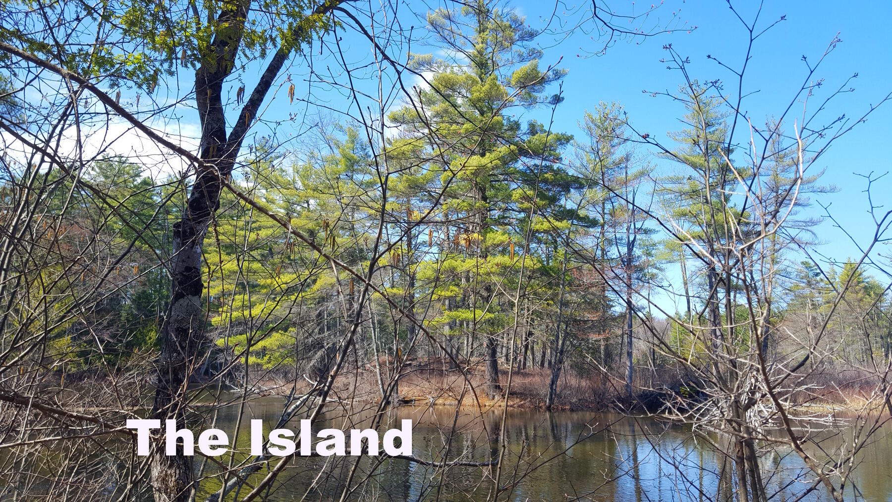 594 River Road Windham, ME 04062 - Photo 14 of 43 There is a real island too!!