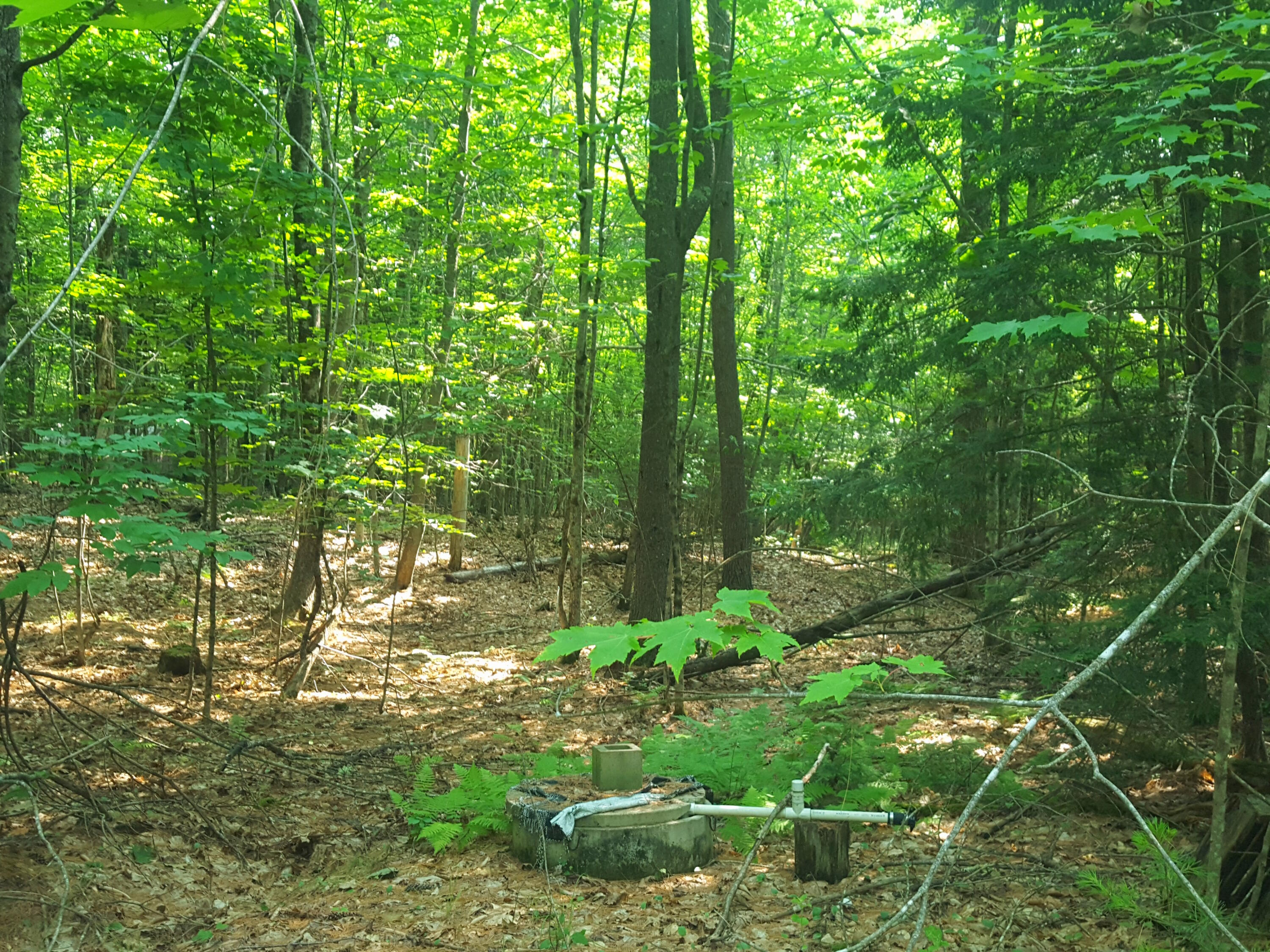 594 River Road Windham, ME 04062 - Photo 29 of 43 Woods