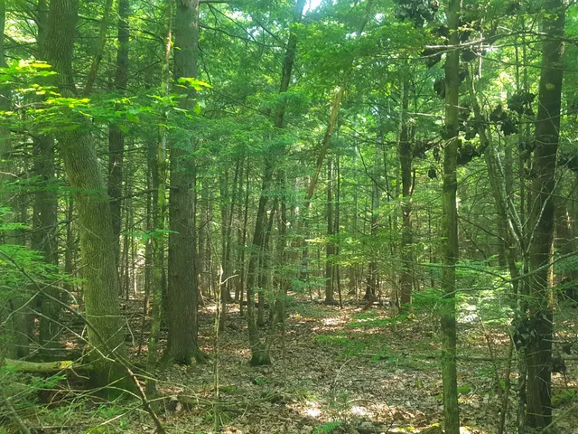 $1,060,000 | 594 River Road, Windham, ME 04062