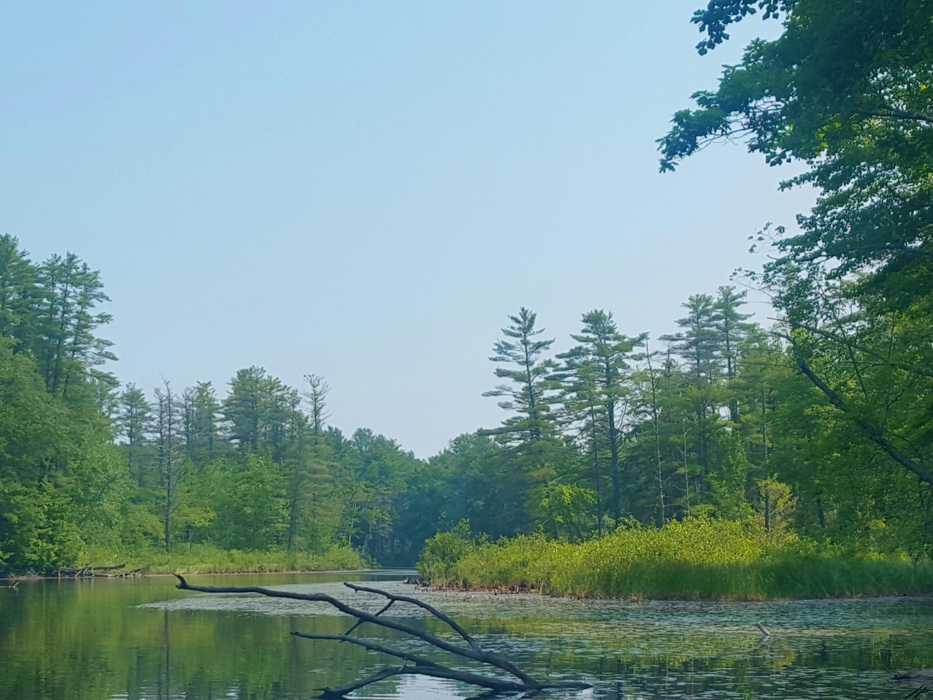594 River Road Windham, ME 04062 - Photo 34 of 43 River