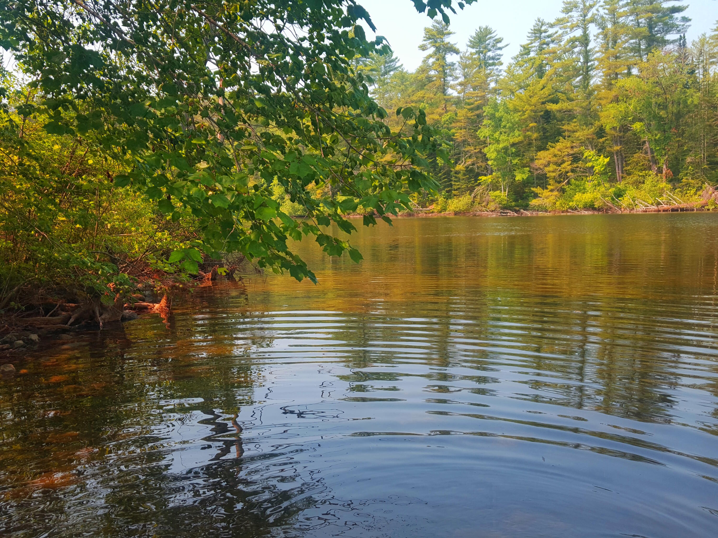 594 River Road Windham, ME 04062 - Photo 36 of 43 River