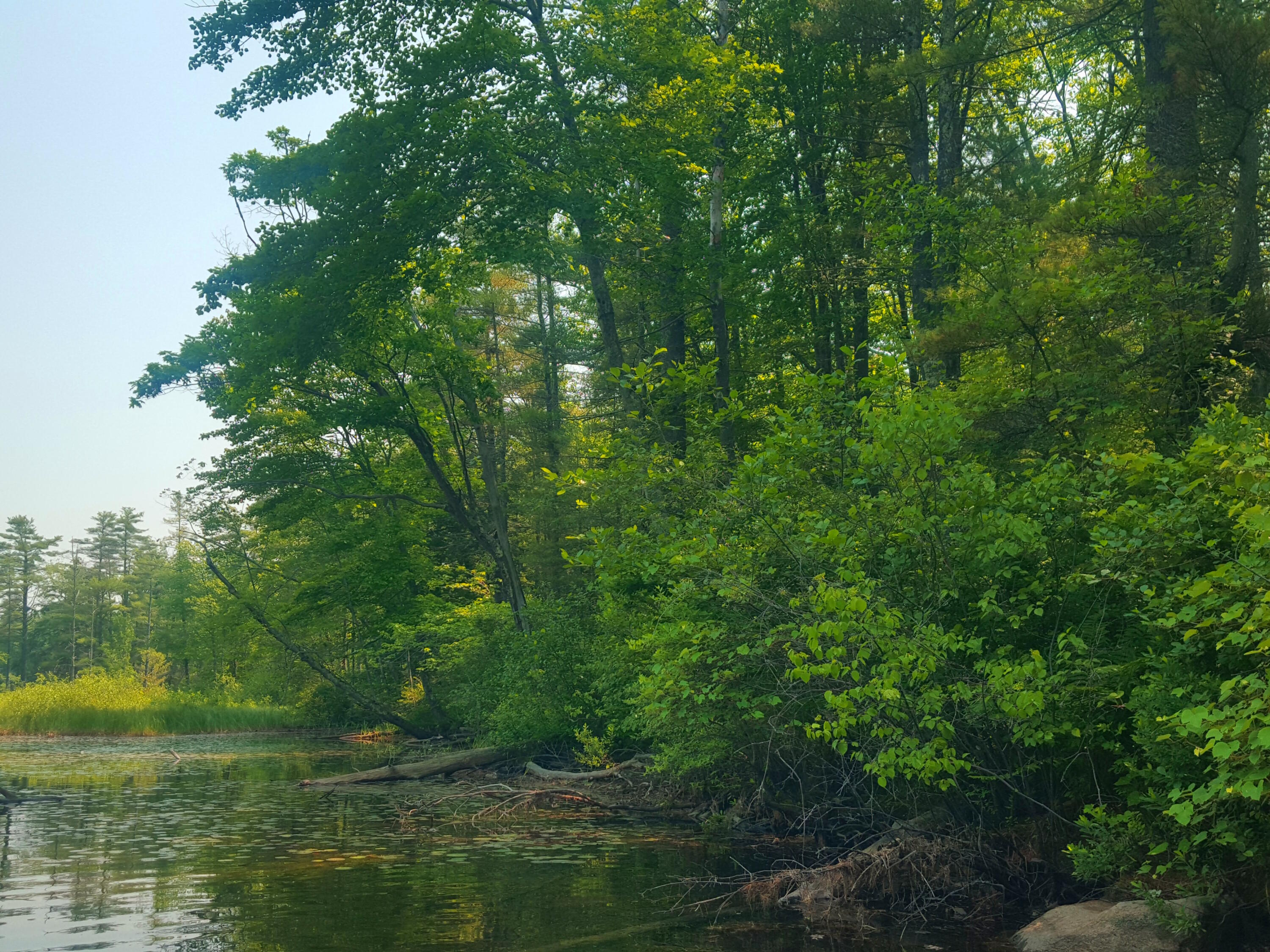 594 River Road Windham, ME 04062 - Photo 37 of 43 River