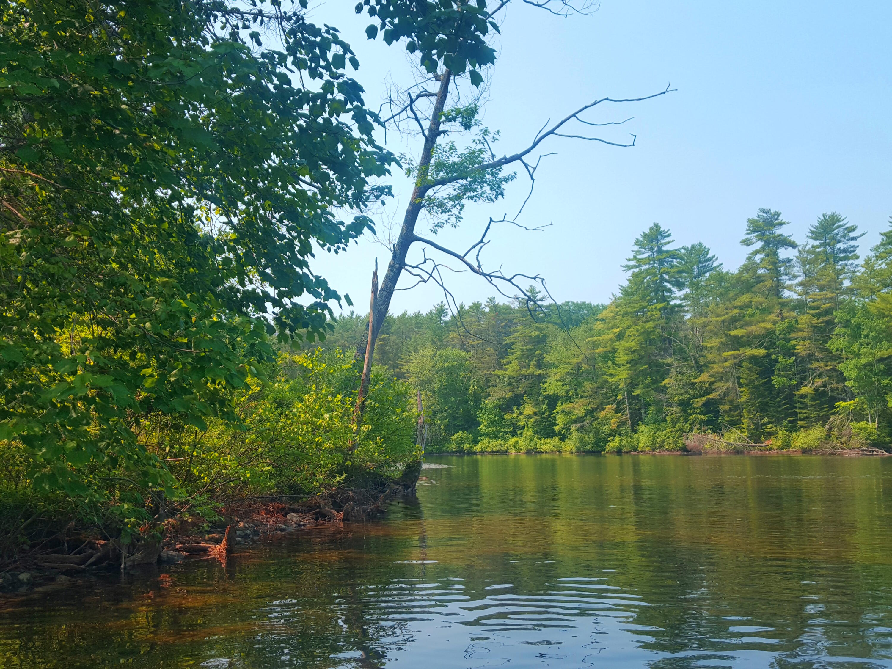 594 River Road Windham, ME 04062 - Photo 38 of 43 River