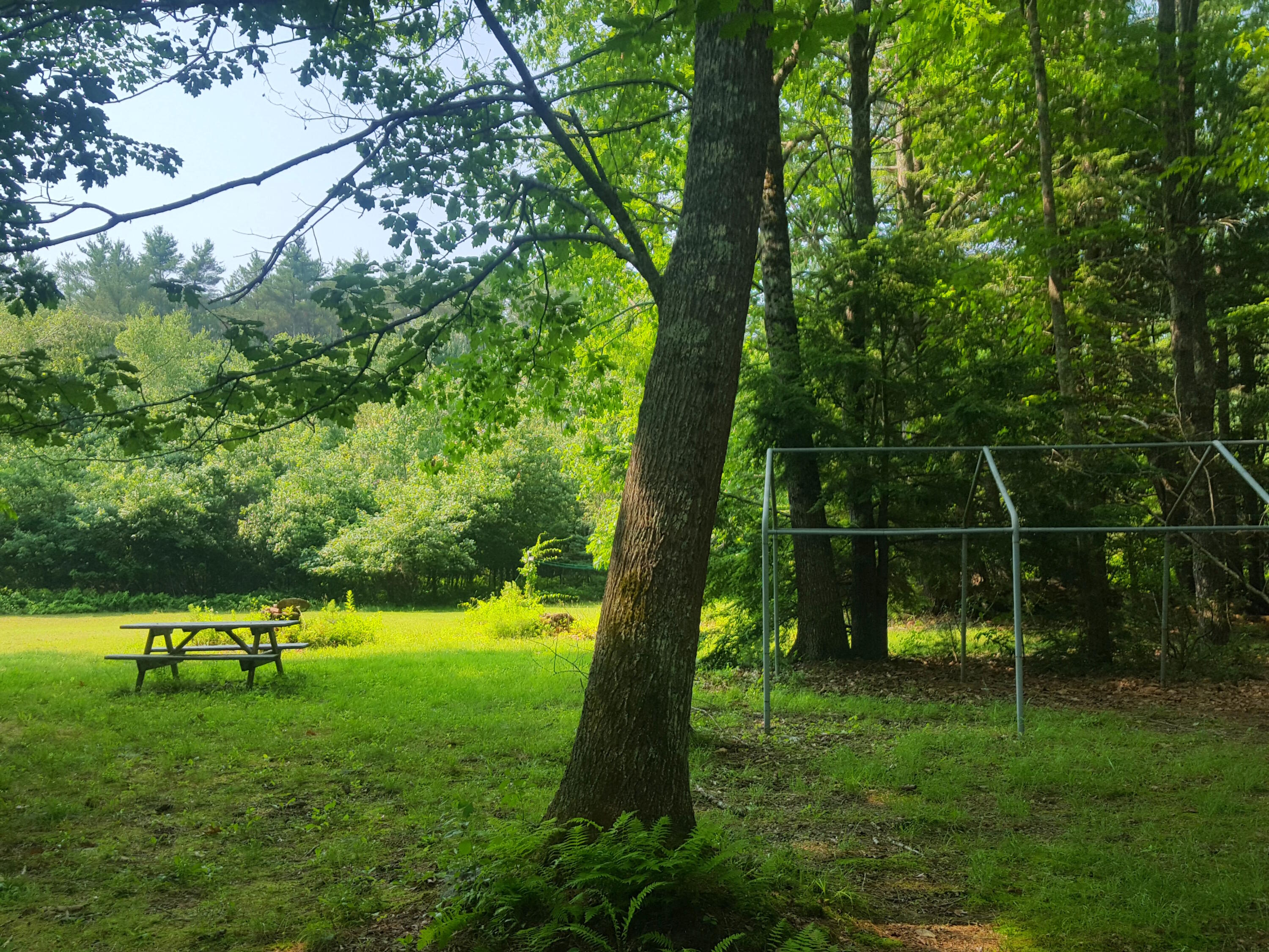 594 River Road Windham, ME 04062 - Photo 7 of 43 lawn in front of cottage