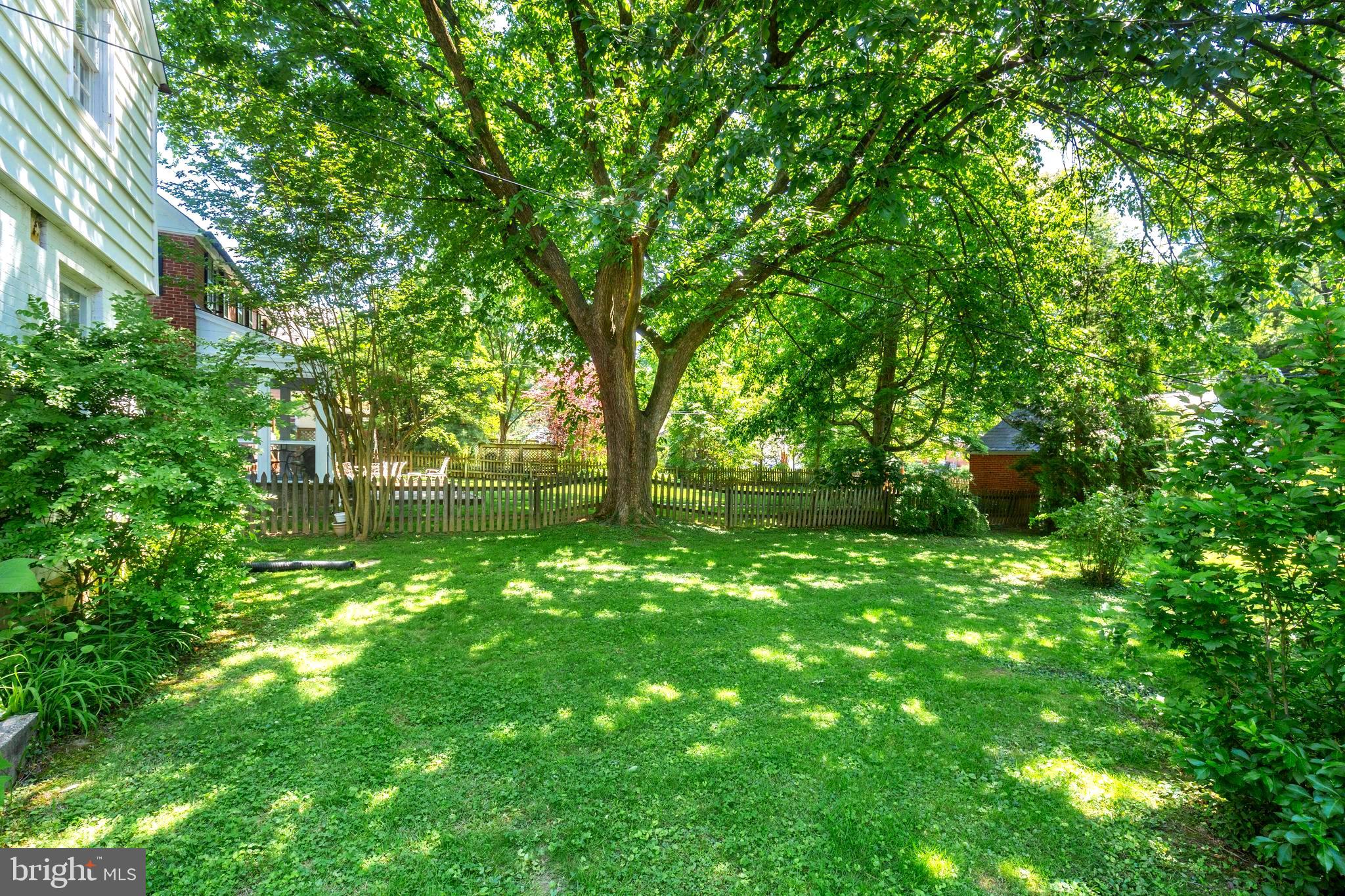 323 Broadmoor Road Baltimore, MD 21212 - Photo 31 of 40 Private backyard with endless possibilities.