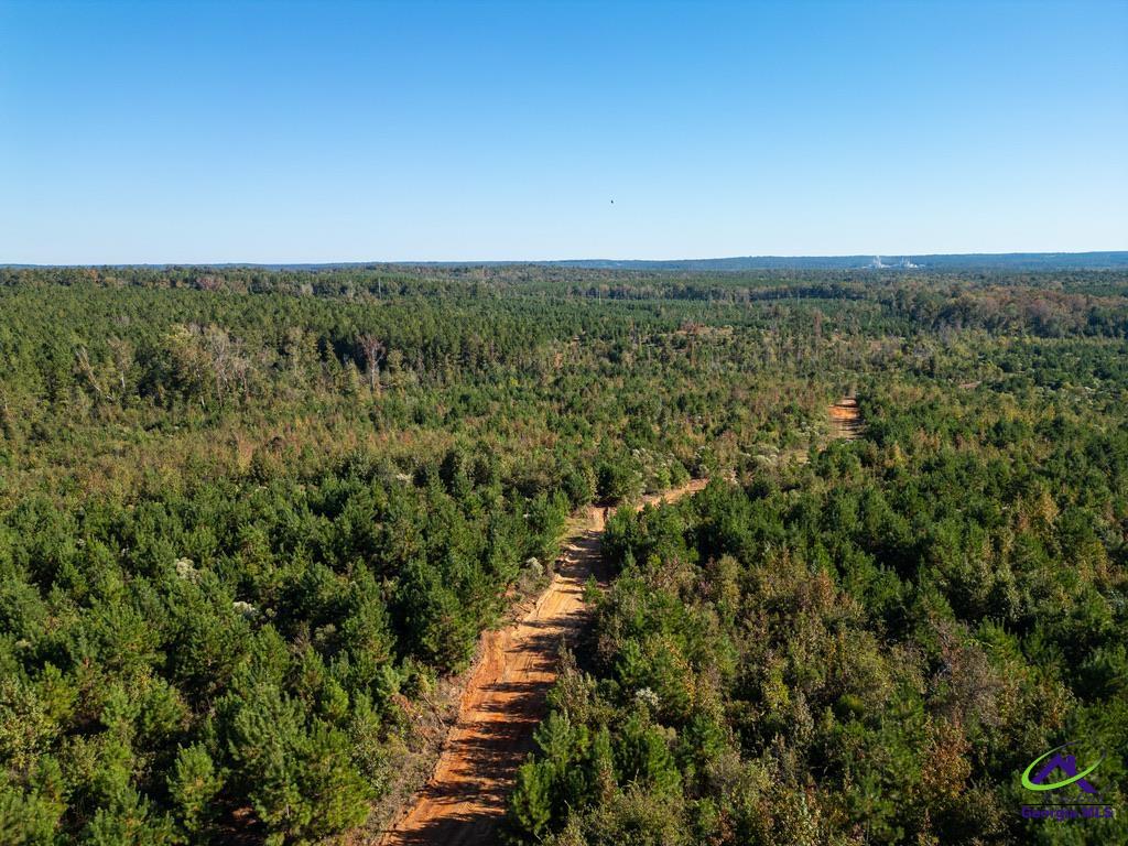 1190 Wriley Road McIntyre, GA 31054 - Photo 5 of 25