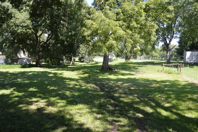 a view of a park with a tree