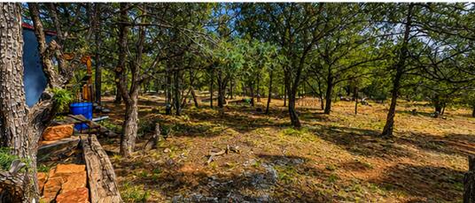 22 Magpie Road Glorieta, NM 87535 - Photo 9 of 28 Gallery Image 9