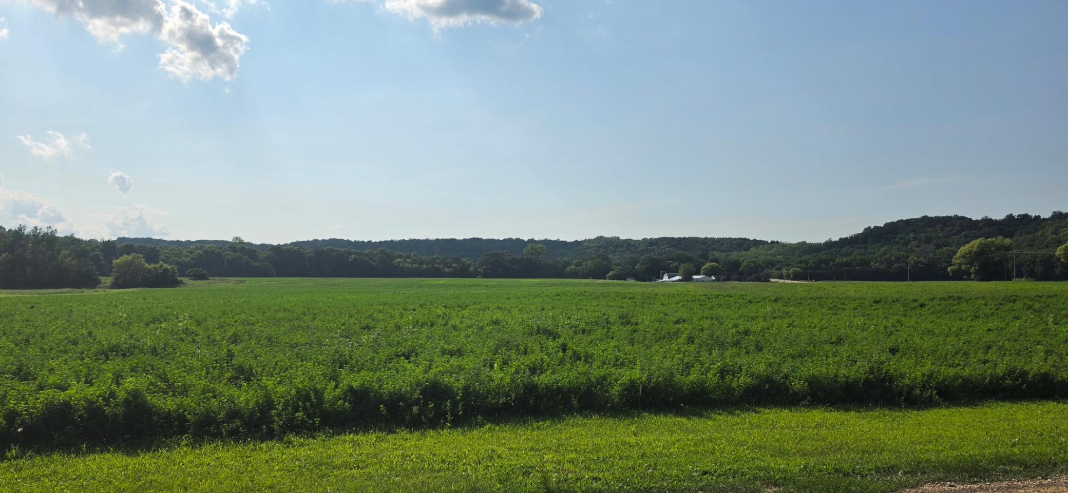 21 County Road Mazeppa, MN 55956 - Photo 9 of 13 Gallery Image 9