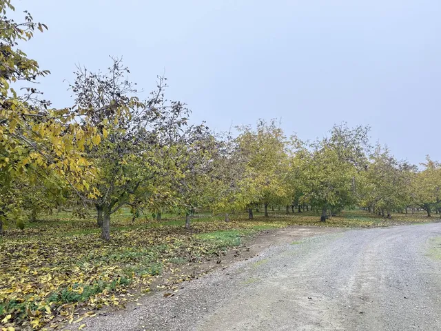 $1,400,000 | 30944 Grooms Road, Oakdale, CA 95361