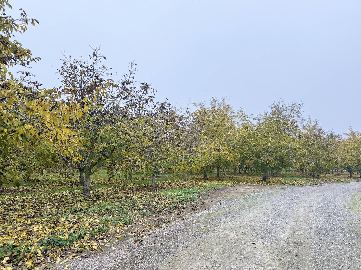 30944 Grooms Road Oakdale, CA 95361 - Photo 3 of 4