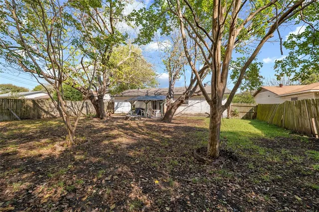 a view of a yard with plants and trees