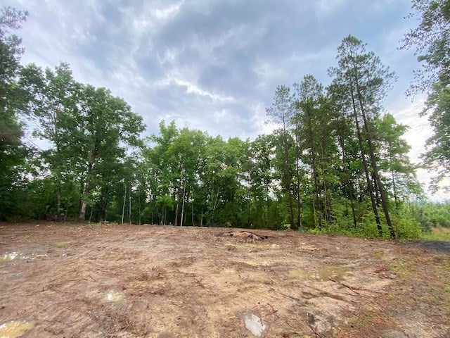 Short Street, Unit 4 Alberta, VA 23821 - Photo 2 of 7 Gallery Image 2