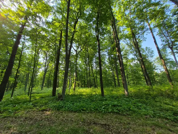 $154,000 | 3391 30th Street, Frederic, WI 54837